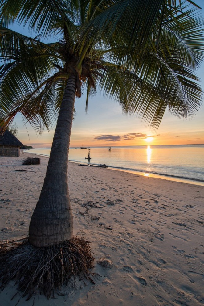 spiaggia_tramonto_mafia_tanzania
